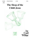 Sleep of the Child Jesus, The