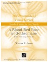 Blood Red Rose in Gethsemane