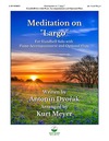 Meditation on Largo