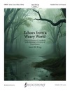 Echoes from a Weary World